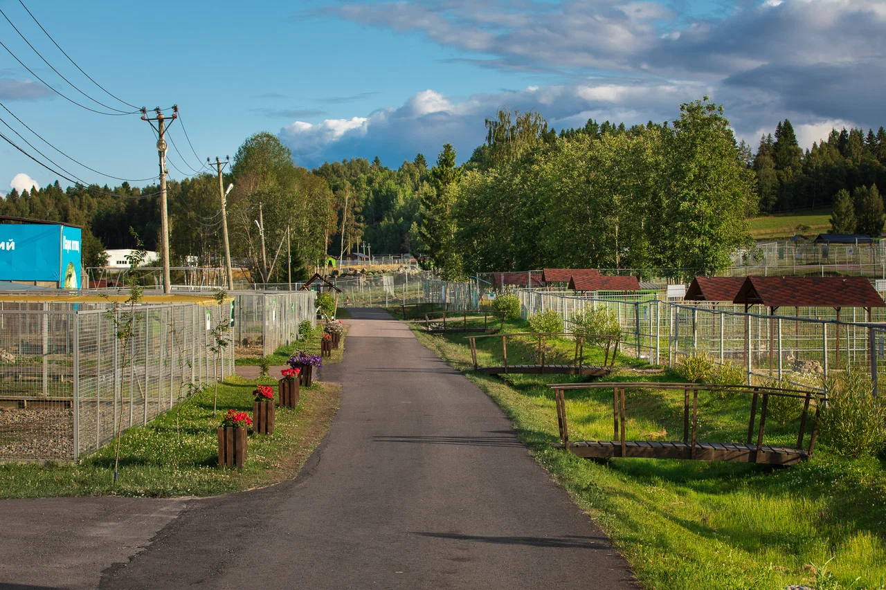 Зоопарк в Карелии