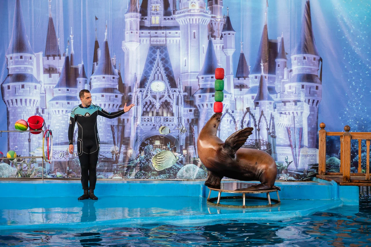 Морская Звезда