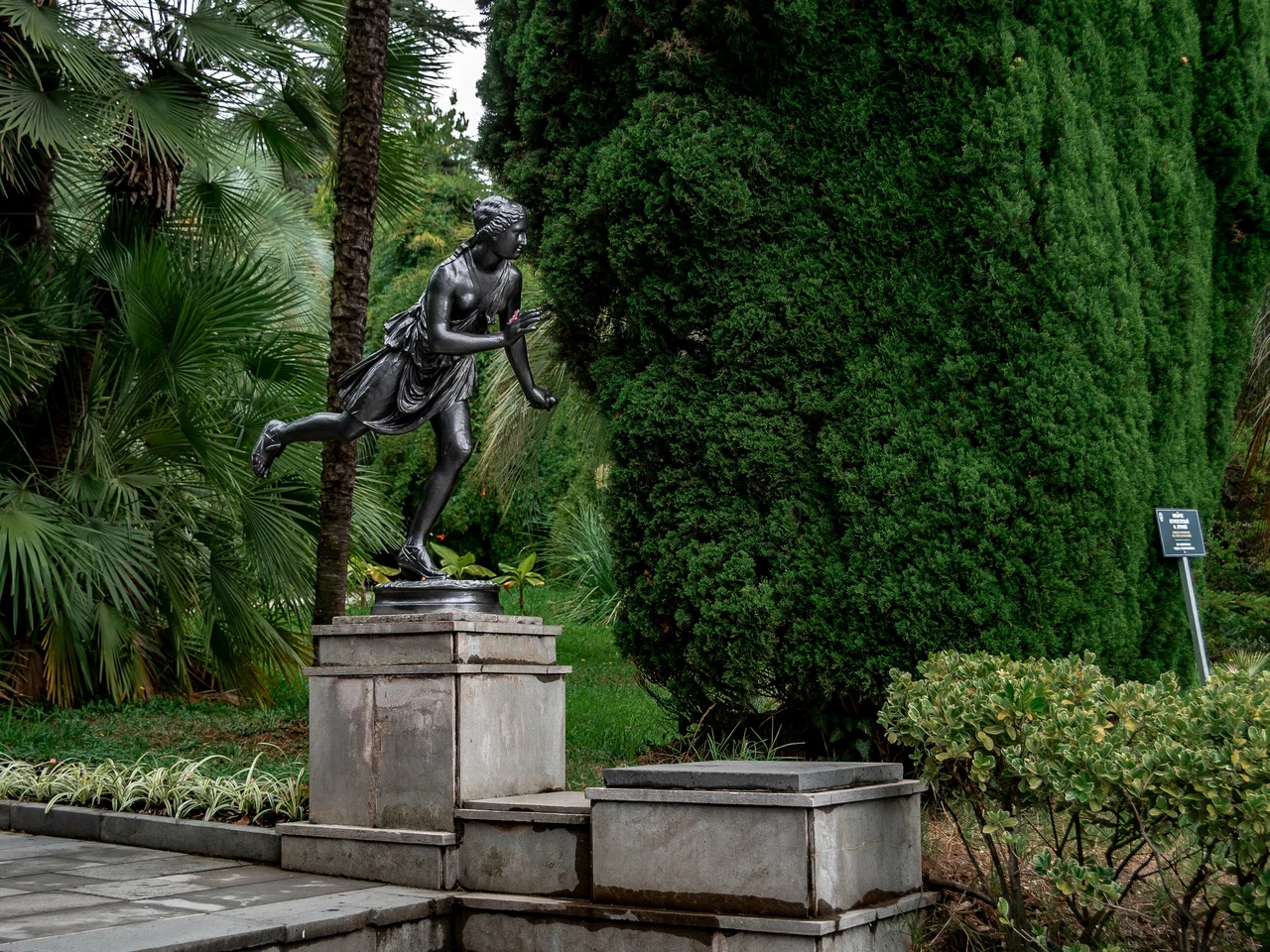 Сочинский национальный парк - Дендрарий