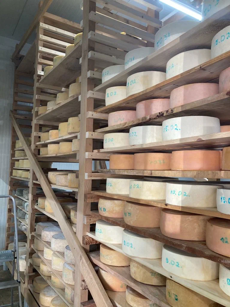 Сыроварня Елены Пугачевой