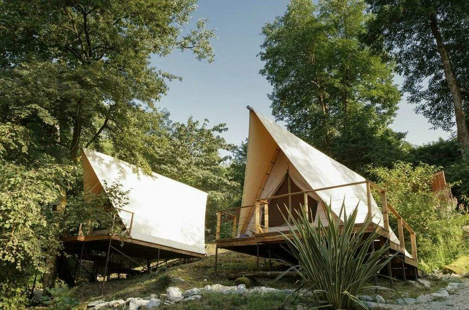 Южный Вайб Древо