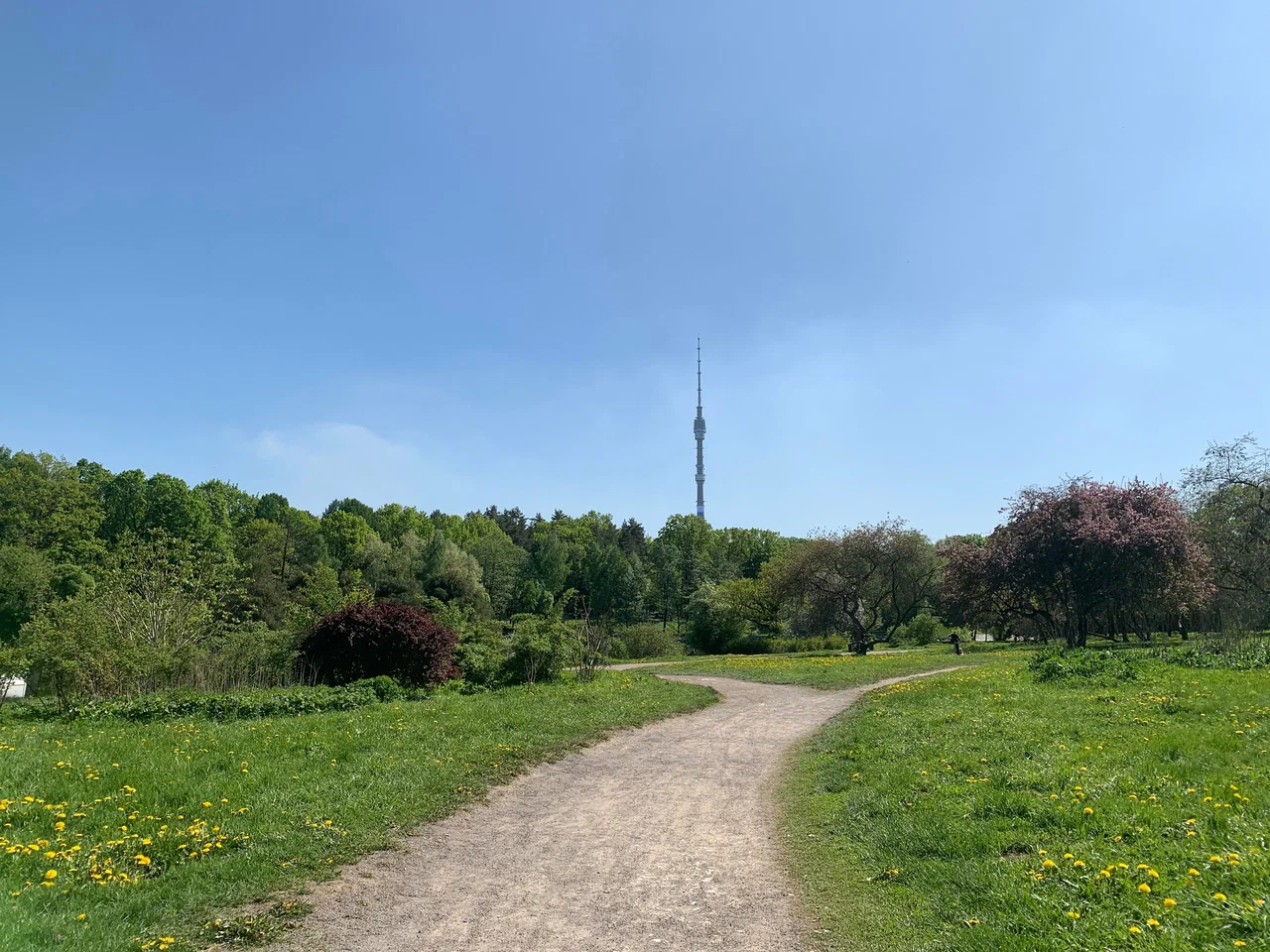 Воздушная экотропа