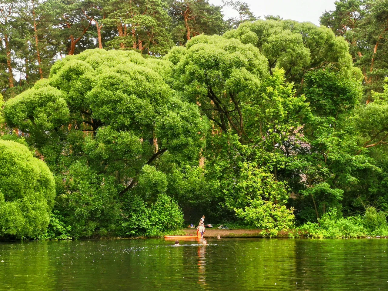 Серебряный Бор