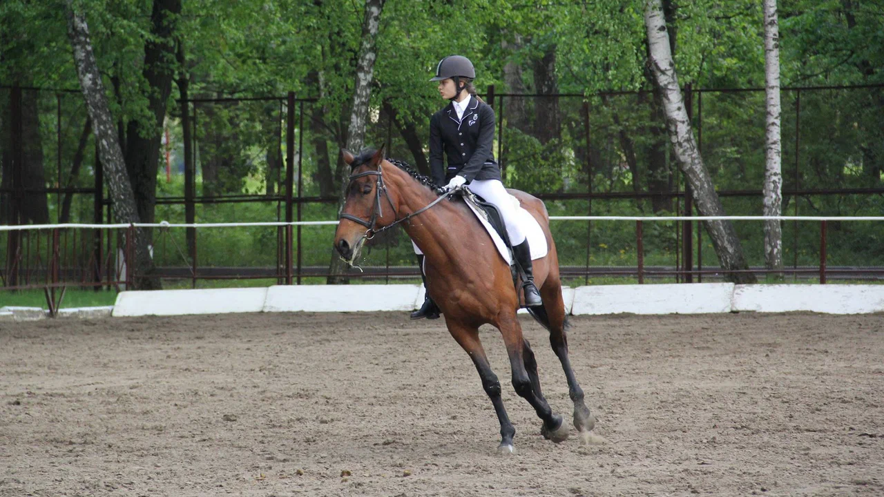 Конно-спортивный клуб 