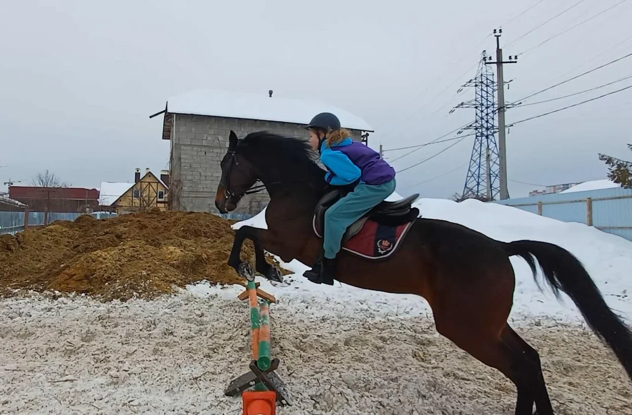 Пегашкин Двор