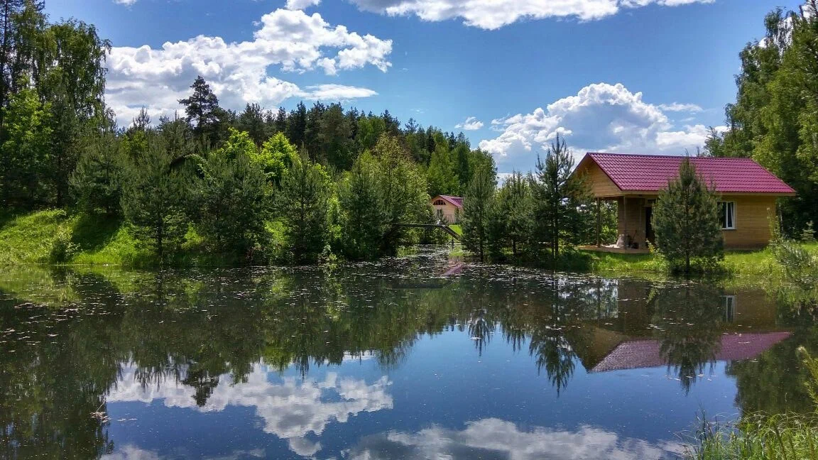 Березовый мостик