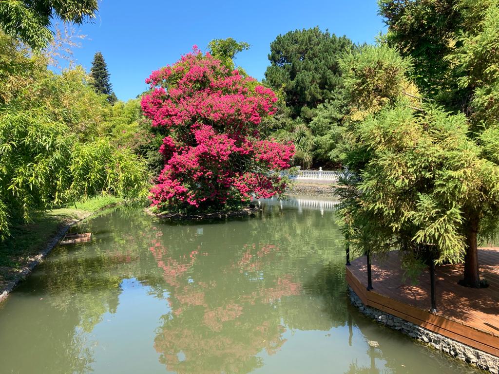 Парк Южные культуры