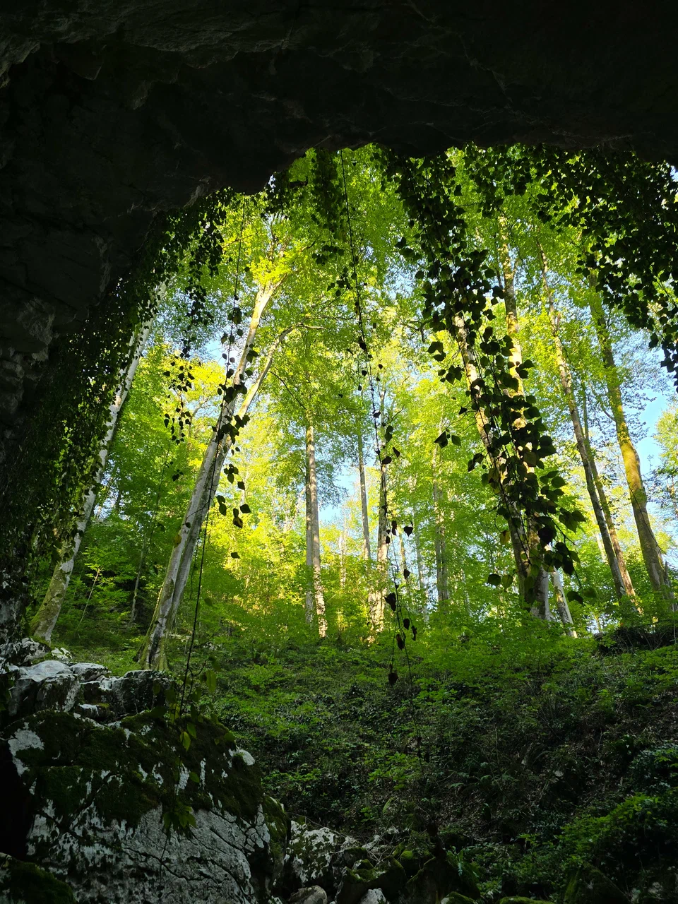 Воронцовские пещеры