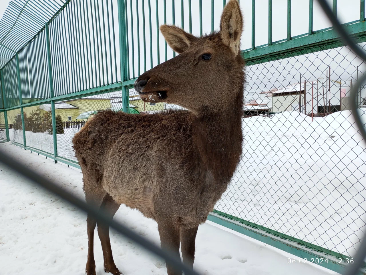 Планета обезьян