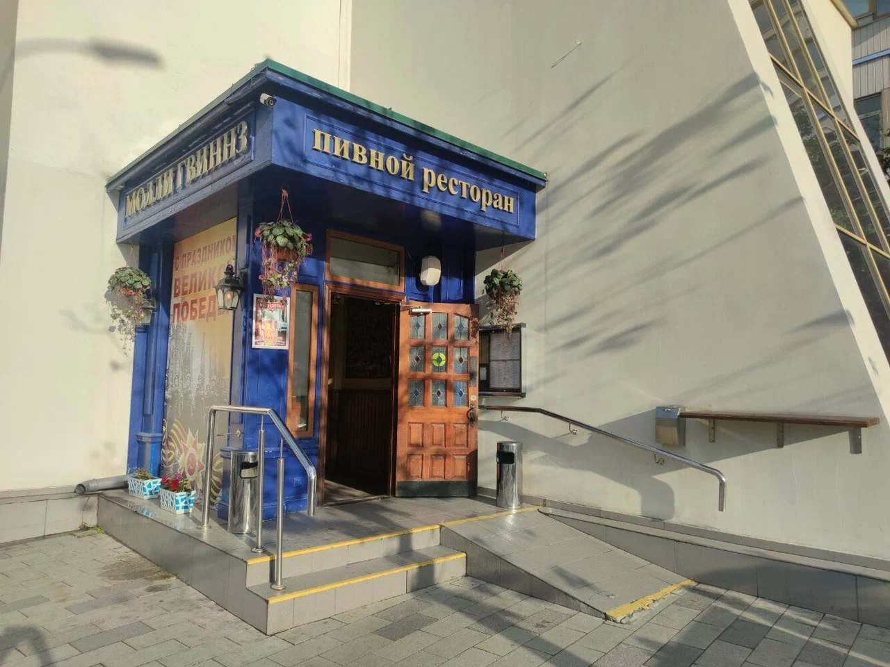 Молли Гвиннз