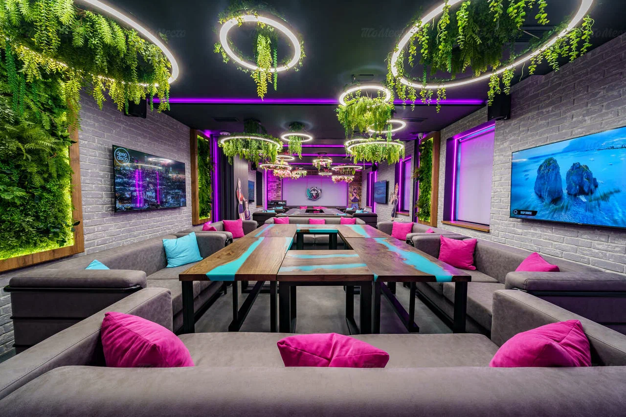 Мятный Енот